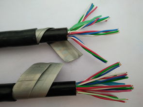 RS 485 22 2 0.75电缆 厂家报价 RS 485 22 2 0.75电缆 厂家报价